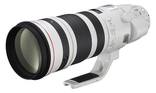 Canon EF 200-400/4,0 L IS USM + 1,4fach Extender