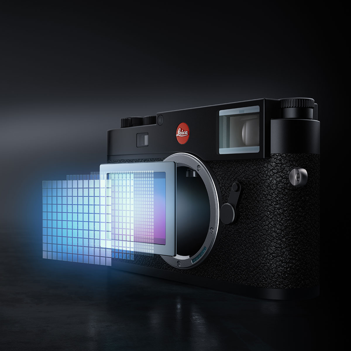 Sensor der Leica M11