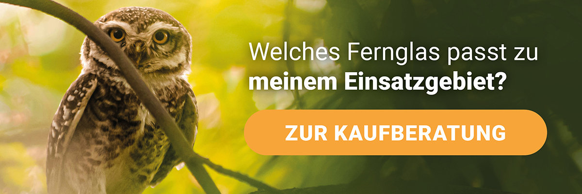 Ferngläser