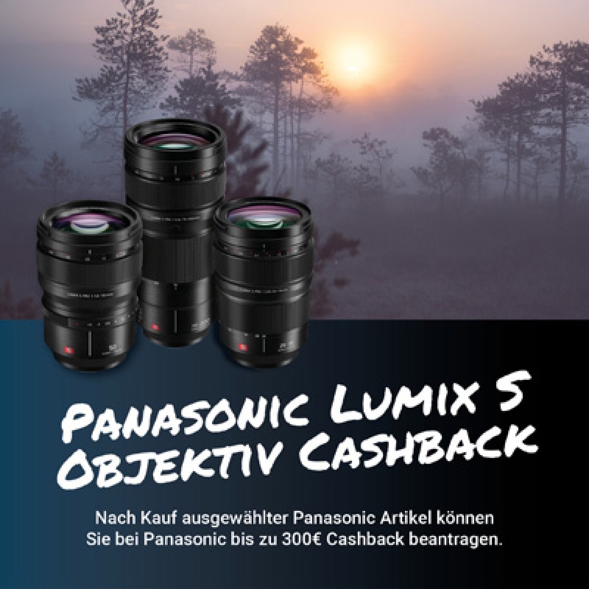 Panasonic Lumix S Objektiv Cashback