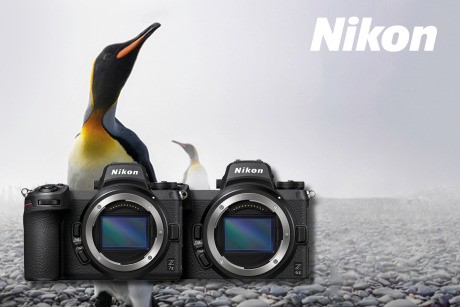 Nikon Winter Sofort-Rabatt