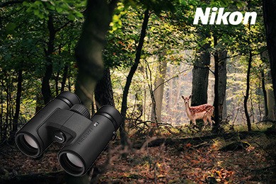 Nikon Fernglas Sofort-Rabatt