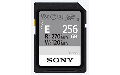Sony SD 256 GB Serie-E UHS-II (270/120)