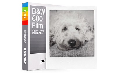 Polaroid 600 black&white Sofortbildfilm